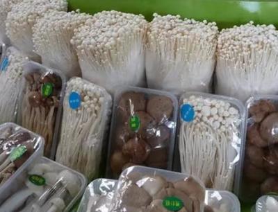 灌南金针菇:连云港灌南县特产金针菇,产地农产品食用菌