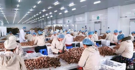 泌阳食用菌产业在品牌培育上发力 在研发创新中升级