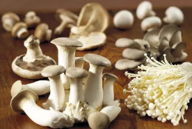 食用菌产业迎来新发展机遇，市场前景广阔