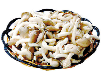 江苏珍品姬菇 鲜品中的名优食用菌代表