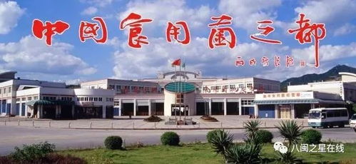 大野山银耳荣获省级抽检合格产品，助力食用菌产业发展迈上新台阶