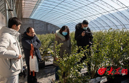 聚焦青岛西海岸新区农产品区域公用品牌全国媒体联合采风活动正式启动 以食用菌为引擎助力乡村振兴