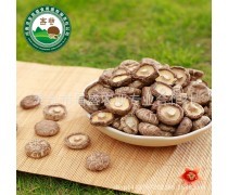 食用菌产品库 大自然赋予人类的健康宝藏