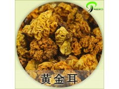 云南野生金耳菌 天然珍品，特价批发