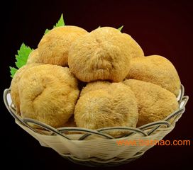 绿色食品猴头菇 食用价值、食用方法、生产厂家与价格全解析