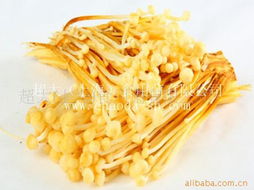 上海食用菌金针菇产品列表