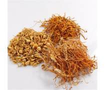 食用菌 大自然赐予的健康瑰宝