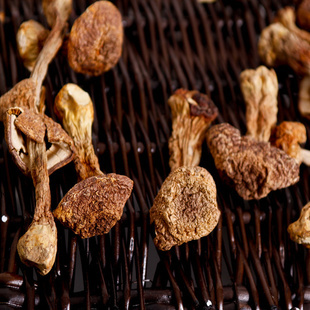 年货臻选，品味云南—— 稷元优质云南特产姬松茸（巴西菇）150g装品鉴