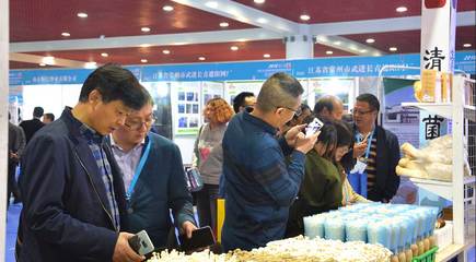 菌香溢黄河 中国（三门峡）国际食用菌新产品新技术博览会助推产业振兴